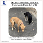 reflective collar for dog to protect dogs from accident in night