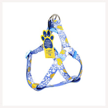 A+a Pets' Pirate Design Step In Harness - Blue - www.aplusapets.com