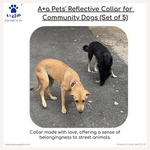 reflective collar for dog to protect dogs from accident in night