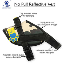 harness for dogs