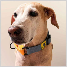 A+a Pets’ Martingale Collar for Dogs - Blue Cotton Collection