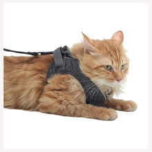 A+a Pets' Feather Weight' Cat and Puppy Harness & Leash Set - Grey