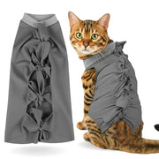A+a Pets' Post Surgery Recovery Clothing for Cats - www.aplusapets.com