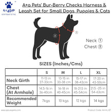 harness and leash set size