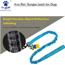 A+a Pets' Heavy Duty Bungee Leash - Blue