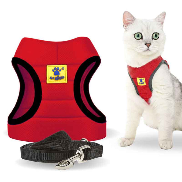 Travel Essentials (Cat)