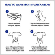 A+a Pets’ Martingale Collar for Dogs - Mango Cotton Collection - www.aplusapets.com