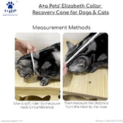 dog collar after surgery