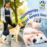 Woman walking a dog with a sling, with MAA Pets logo and text about physiotherapy and post-surgery care.