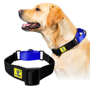 A+a Pets’ Martingale Collar for Dogs - Black Collection - www.aplusapets.com
