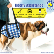 Dog with a blue checkered carrier and 'Elderly Assistance' sign with MAA logo