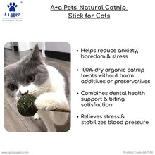 A+a Pets' Natural Catnip Feather Chew Mint Toy for Cat - Mouse