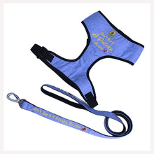 A+a Pets' Pataka' Harness and Leash Combo Set - www.aplusapets.com