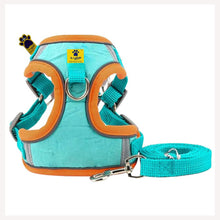 A+a Pets' Suede Harness & Leash Set for Cats & Small Dogs