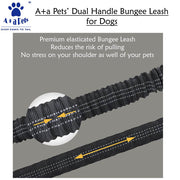 A+a Pets' Dual Handle Bungee Leash - Green - www.aplusapets.com