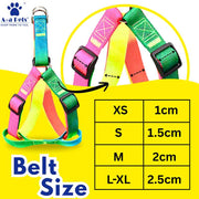 A+a Pets' Step-in Harness & Leash Set for Dogs Rainbow Colours - www.aplusapets.com