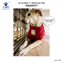 A+a Pets' Combo T-Shirts for Human & Pets | 100% Cotton - Not Single Collection