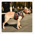 A dog wearing a plaid patterned vest harness with front leg lift support, being assisted by a person off-frame.