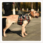 A dog wearing a plaid patterned vest harness with front leg lift support, being assisted by a person off-frame.
