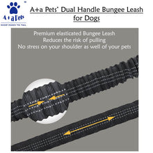 A+a Pets' Dual Handle Bungee Leash - Orange