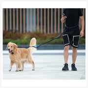A+a Pets’ 2in1 Bungee Hands-Free Leash - www.aplusapets.com