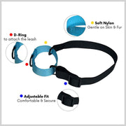 A+a Pets’ Martingale Collar for Dogs - Orange Collection - www.aplusapets.com