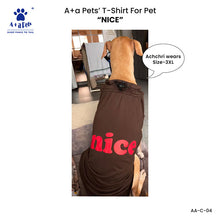 A+a Pets' Combo T-Shirts for Human & Pets | 100% Cotton - I Work Hard Collection