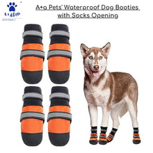 dog boots for rain