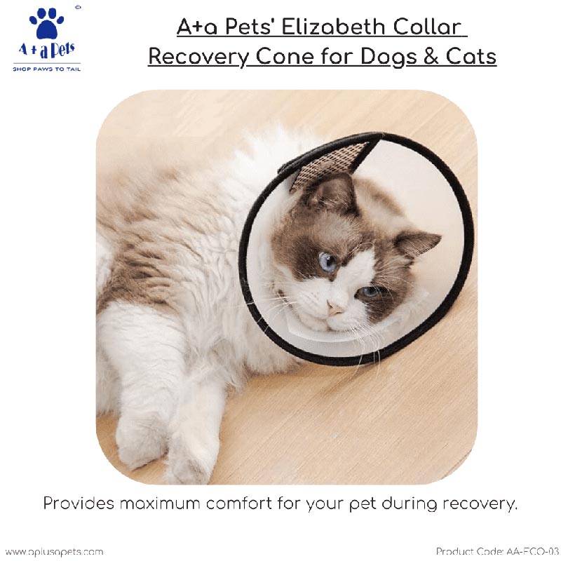 A+a Pets' Elizabeth Collar Recovery Cone for Dogs Cats