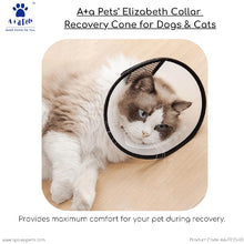 cat cone collar