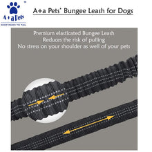 A+a Pets' Heavy Duty Bungee Leash - Brown