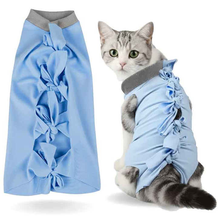 Cat wearing a blue ruffled garment on a white background