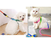 A+a Pets' Step-in Harness & Leash Set for Cats & Small Dogs Rainbow Colours - www.aplusapets.com