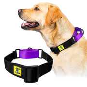 A+a Pets’ Martingale Collar for Dogs - Black Collection - www.aplusapets.com
