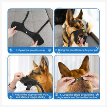 dog muzzle rottweiler