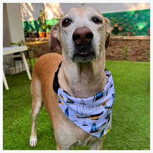 A+a Pets' 2in1 Scarf Collar Bandana for Dogs & Cats - Boat Collection