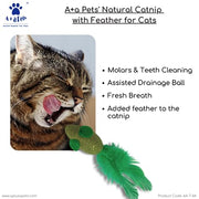 A+a Pets' Natural Catnip Feather Chew Mint Toy for Cat - Mouse - www.aplusapets.com