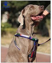 A+a Pets' Step in Harness For Dogs Cats Puppies in Block Design - www.aplusapets.com