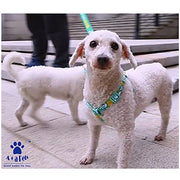 A+A Pets' Pirate Design Step In Harness - Green - www.aplusapets.com