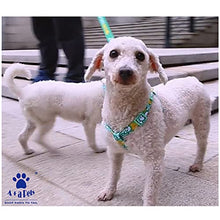 A+A Pets' Pirate Design Step In Harness - Green - www.aplusapets.com