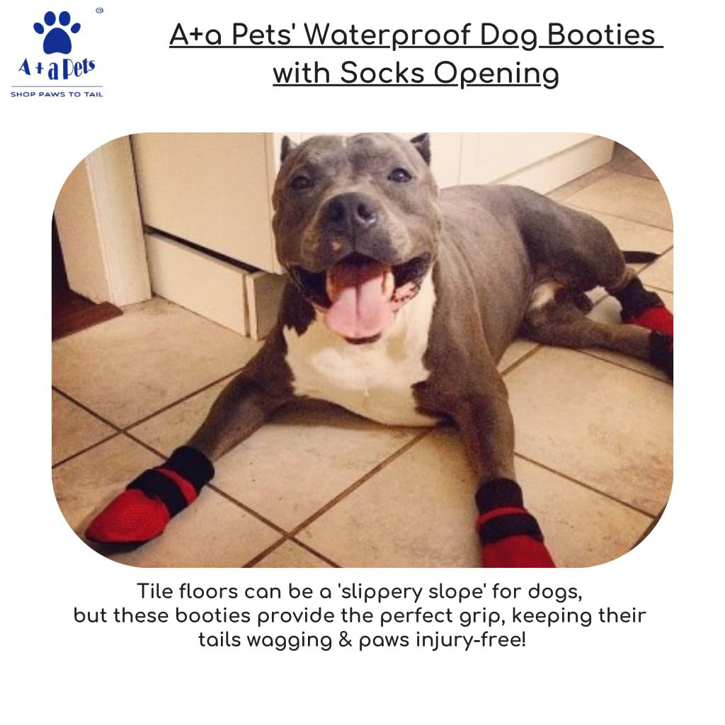 Dog's Paws Best Dog Shoes For Pitbulls Summer Dog Boots For