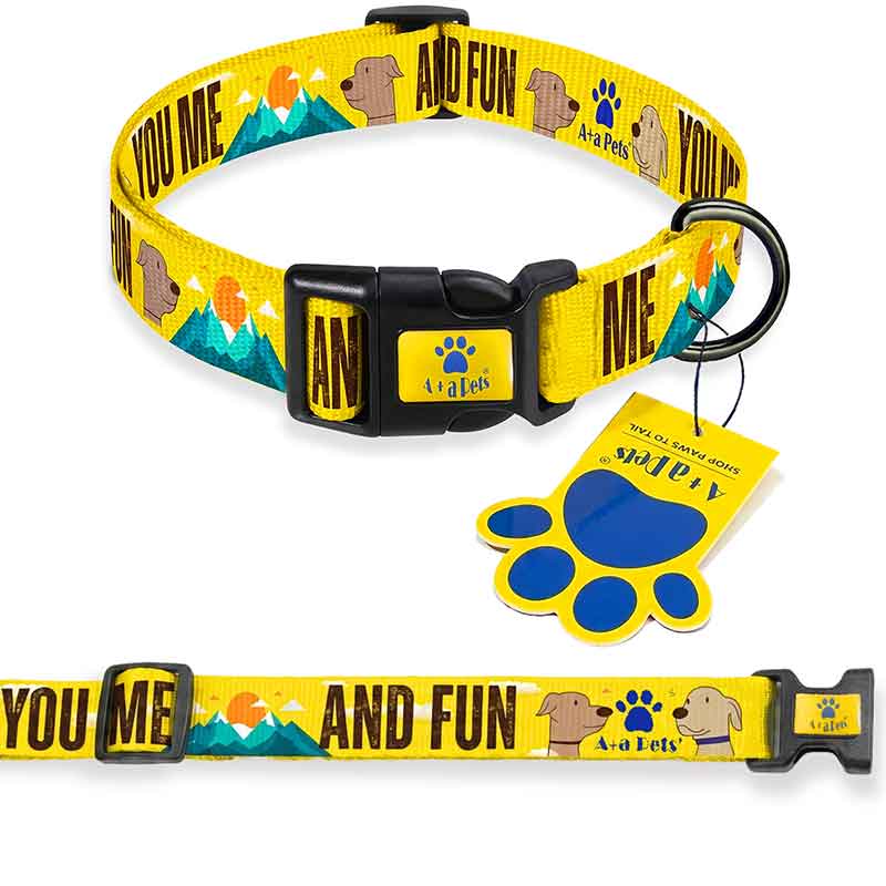 Yellow dog collar with colorful design and 'You Me and Fun' text on a white background