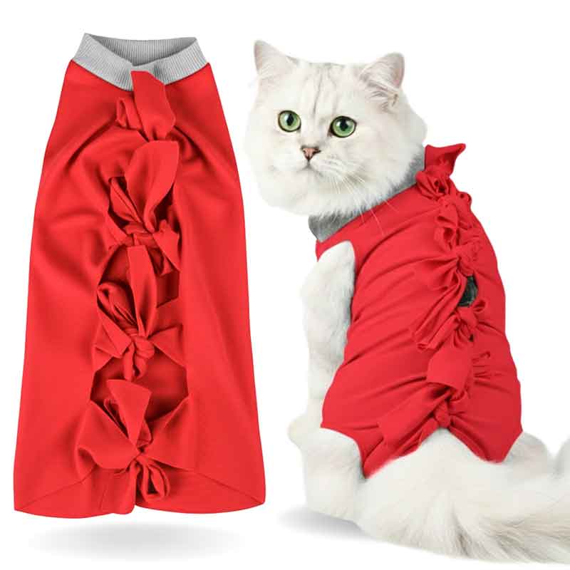 A+a Pets' Post Surgery Recovery Clothing for Cats - www.aplusapets.com