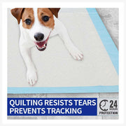 A+a Pets' Super Absorbent Dog Pee Pads for Potty Training - www.aplusapets.com