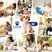 A+a Pets' Vest Style Harness & Leash Set for Cats & Small Dogs - www.aplusapets.com