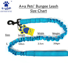 A+a Pets' Heavy Duty Bungee Leash - Blue