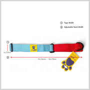 A+a Pets’ Martingale Collar for Dogs - Orange Collection - www.aplusapets.com