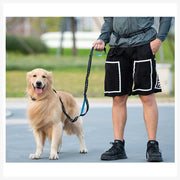 A+a Pets’ 2in1 Bungee Hands-Free Leash - www.aplusapets.com
