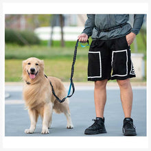 A+a Pets’ 2in1 Bungee Hands-Free Leash