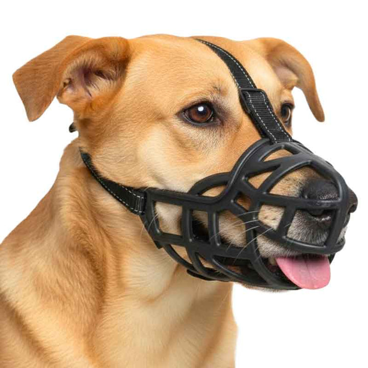 A+a Pets' Muzzle for Dogs - www.aplusapets.com